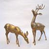 BR60023 - Brass Deer Pair