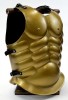IR80704BB - Golden Muscle Armor